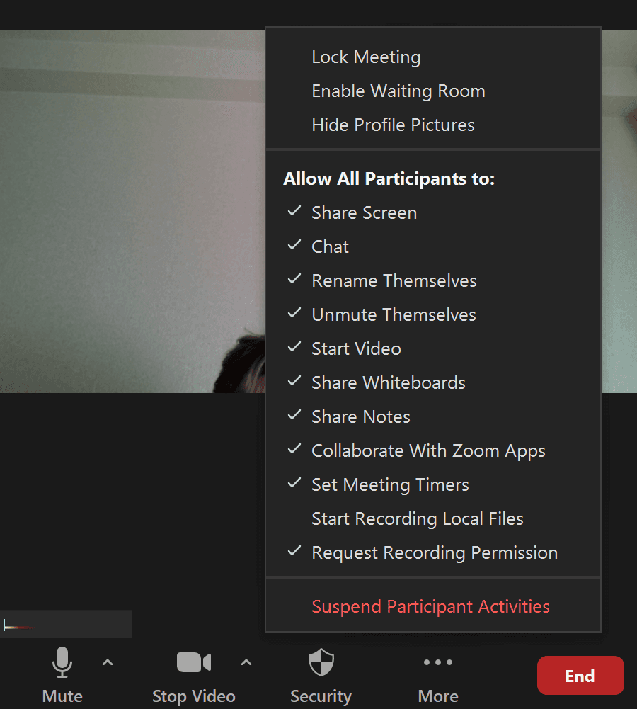 Zoom participant options