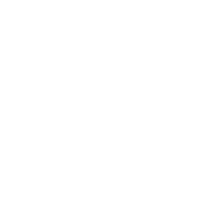 Lightspeed Logo Mollie Partner Logo Mollie Partner